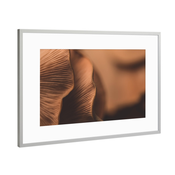 Poster mit Rahmen Silber "Pilzlamellen" artboxONE - Natur