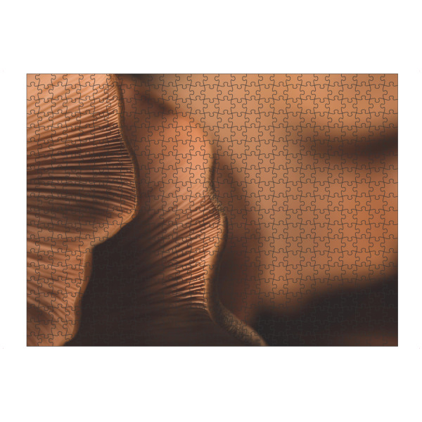 Puzzle Ravensburger "Pilzlamellen" artboxONE - Natur