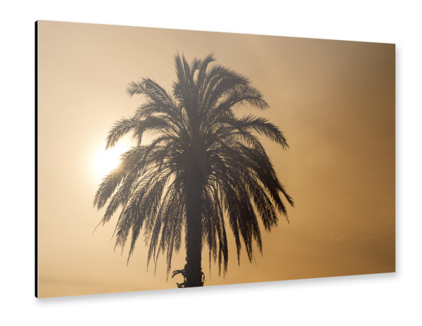 Alu-Dibond "Palme im Sonnenuntergang" 30x20 cm artboxONE