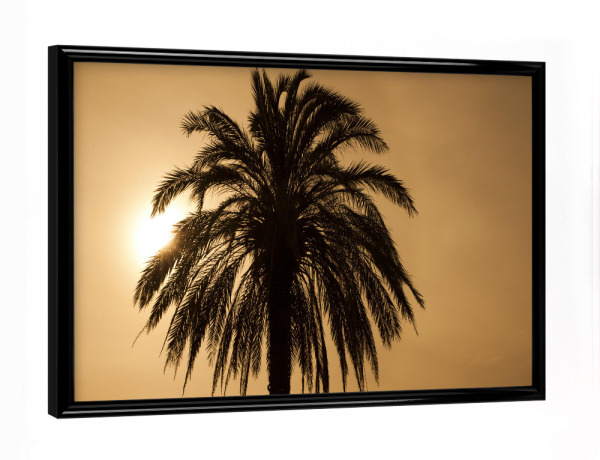 Poster mit schwarzem Rahmen "Palme im Sonnenuntergang" artboxONE - Natur,Reise