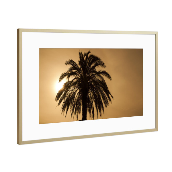 Poster mit Rahmen Gold "Palme im Sonnenuntergang" artboxONE - Natur,Reise