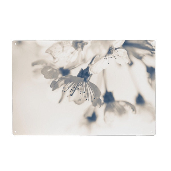 Metall Poster "Cherry blossom Monochrome" artboxONE - Natur
