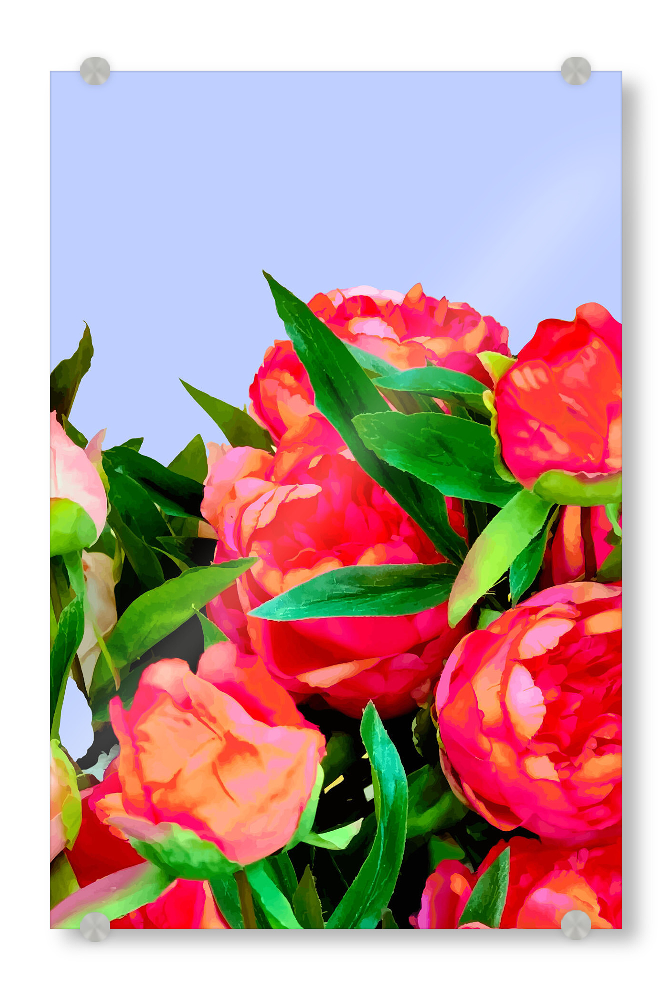 Acrylglasbild "I'd Rather Wear Flowers" artboxONE - Floral