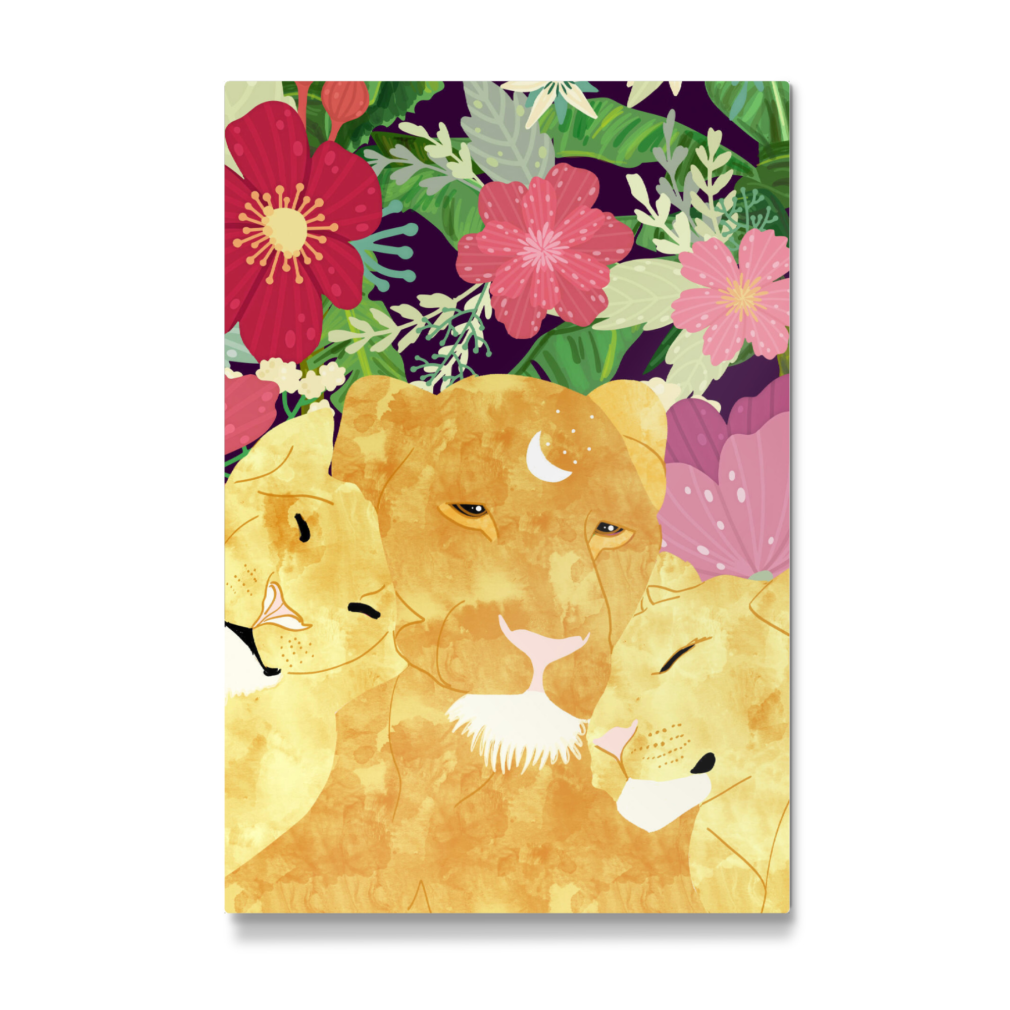 Galerie-Print "A Sincere Lioness" 75x50 cm artboxONE