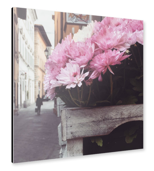 Alu-Dibond "Flowers from Tuscany" 30x30 cm artboxONE