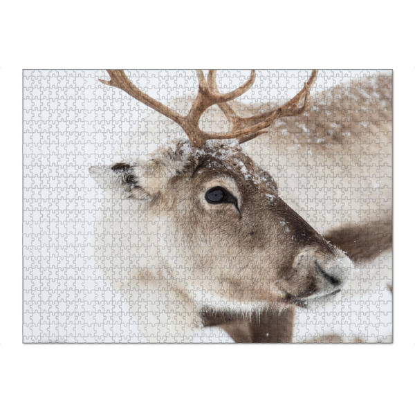 Puzzle Ravensburger "Rentier in Lappland" artboxONE - Natur,Tiere
