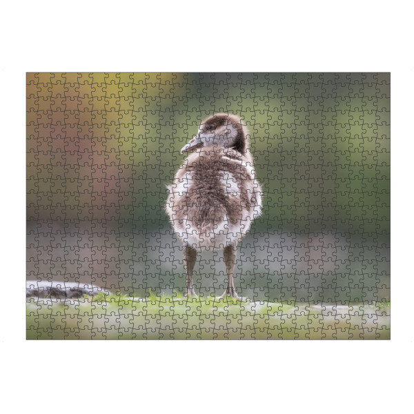 Puzzle Ravensburger "Ready to grow up" artboxONE - Natur,Tiere
