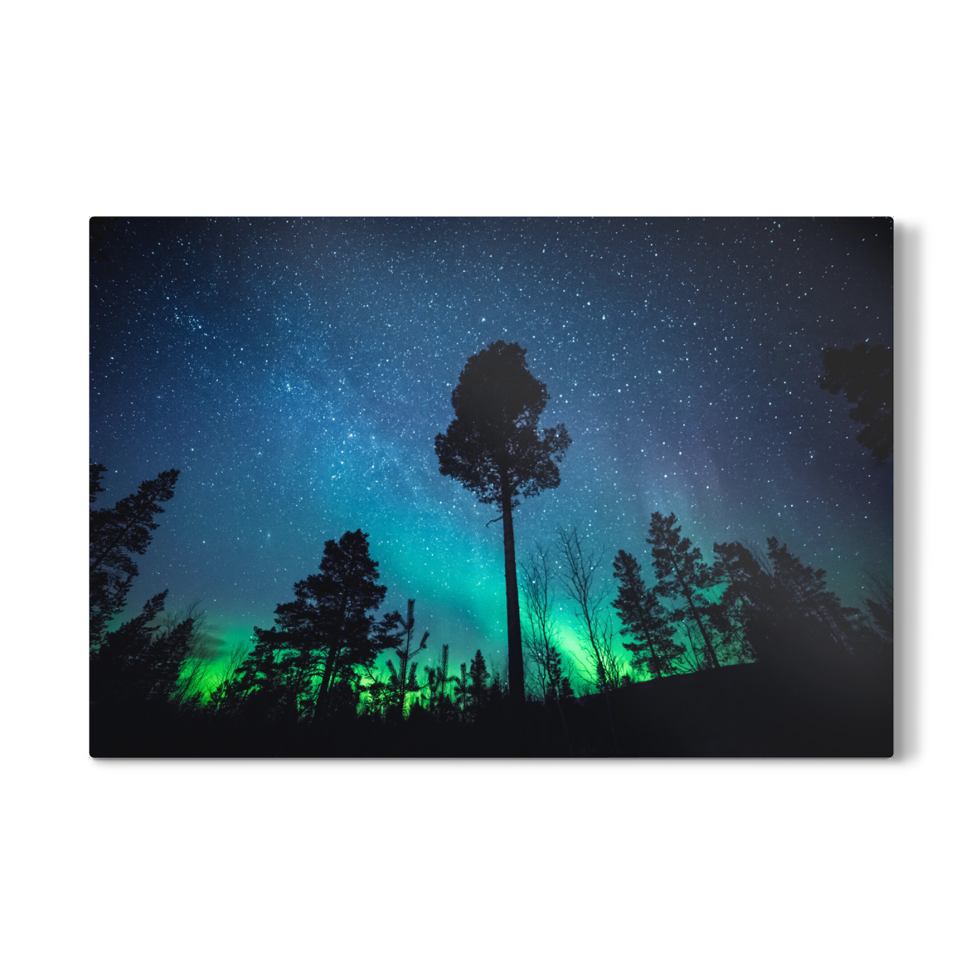 Galerie-Print "Nordlichtwald" 75x50 cm artboxONE