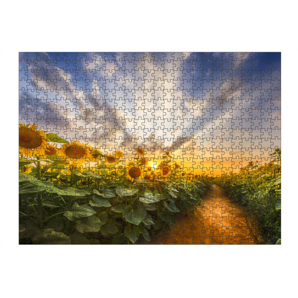 Puzzle Ravensburger "Pfad im Sonnenblumenfeld" artboxONE - Natur,Floral