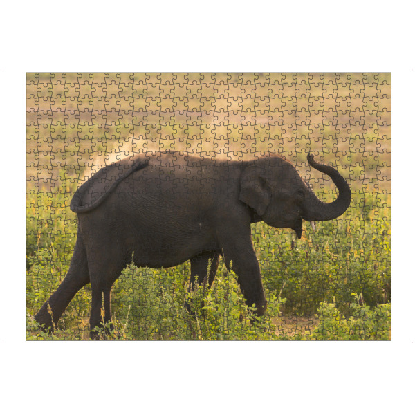 artboxONE Puzzle "Wild Sri Lankan Elephant" artboxONE - Natur,Reise,Tiere,Reise / Asien,Reise / Länder