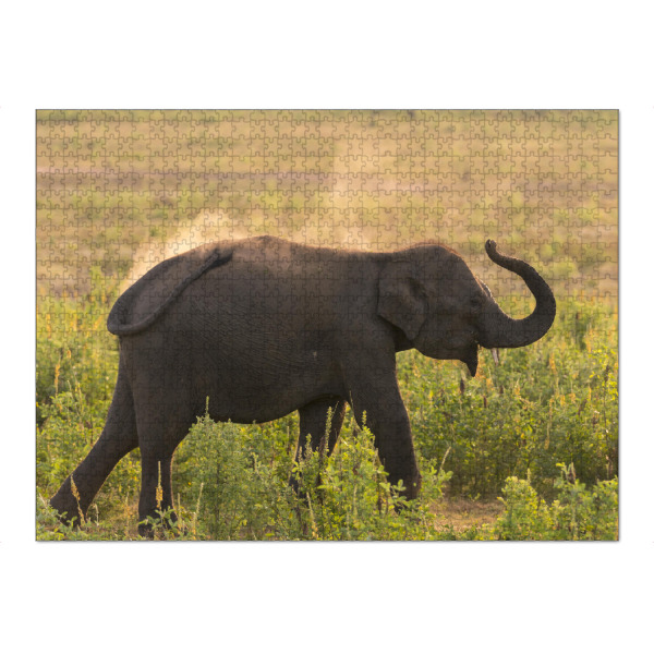 Puzzle Ravensburger "Wild Sri Lankan Elephant" artboxONE - Natur,Reise,Tiere,Reise / Asien,Reise / Länder