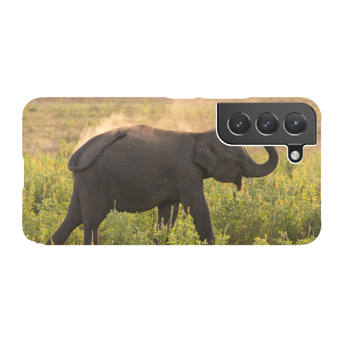 Samsung Galaxy "Wild Sri Lankan Elephant" Premium-Case Handyhülle artboxONE