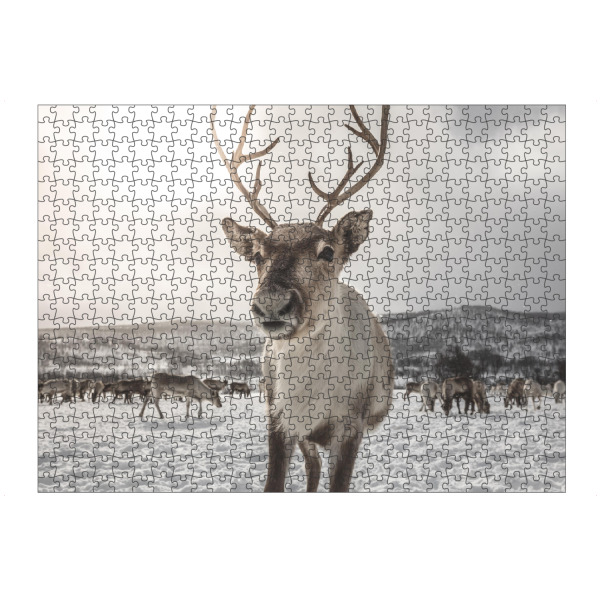 Puzzle Ravensburger "Rentier in Norwegen" artboxONE - Natur,Tiere