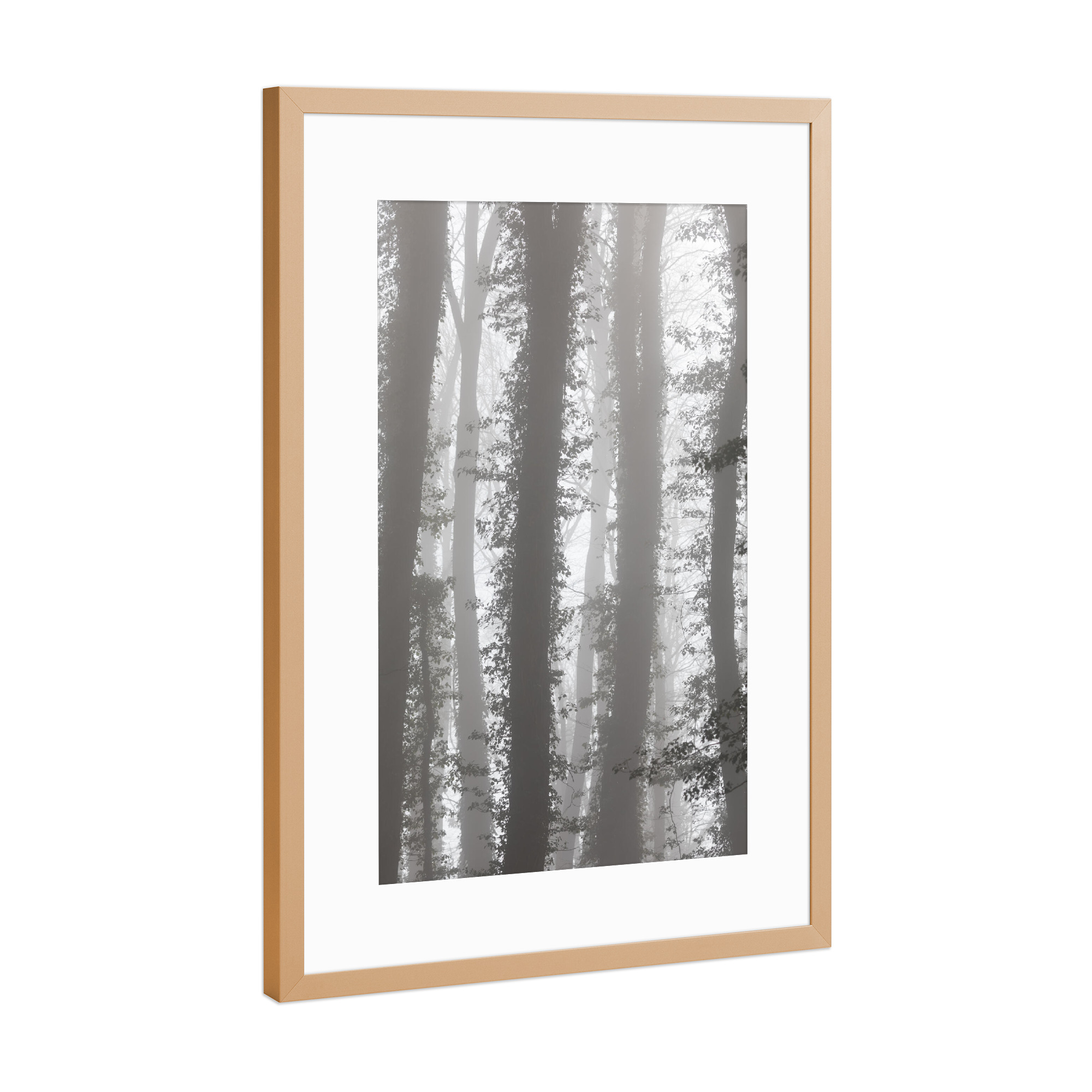 Poster mit Rahmen Kupfer "Mystic Forest" artboxONE - Natur,Floral