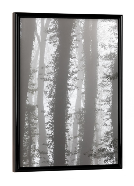 Poster mit schwarzem Rahmen "Mystic Forest" artboxONE - Natur,Floral