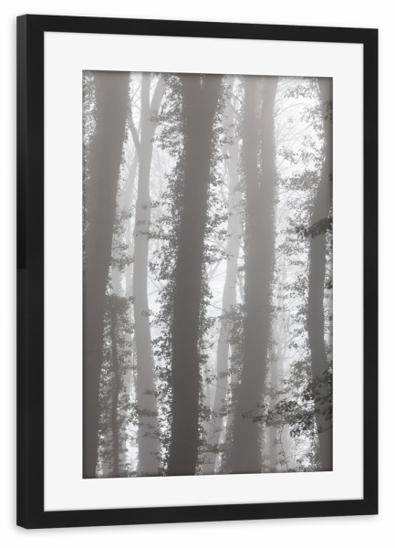 Poster mit Rahmen schwarz "Mystic Forest" artboxONE - Natur,Floral