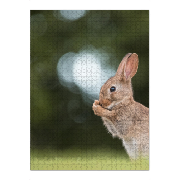 Puzzle Ravensburger "Junges Kaninchen" artboxONE - Natur,Tiere