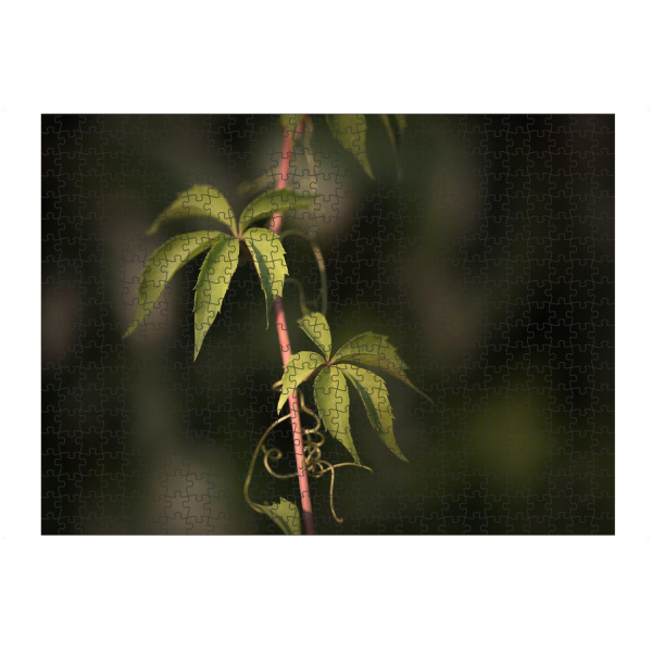 Puzzle Ravensburger "Wilder Wein" artboxONE - Natur,Floral