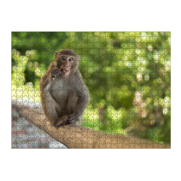 Puzzle Ravensburger "Wilder Makake" artboxONE - Natur,Reise,Tiere,Reise / Asien,Reise / Länder