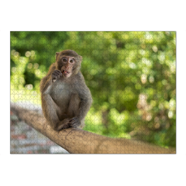 Puzzle Ravensburger "Wilder Makake" artboxONE - Natur,Reise,Tiere,Reise / Asien,Reise / Länder