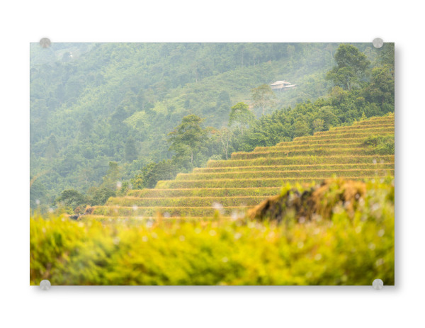 Acrylglasbild "Wanderung durch Reisterrassen" artboxONE - Natur,Reise,Reise / Asien,Reise / Länder