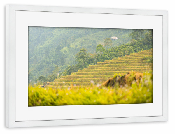 Poster mit Rahmen weiß "Wanderung durch Reisterrassen" artboxONE - Natur,Reise,Reise / Asien,Reise / Länder