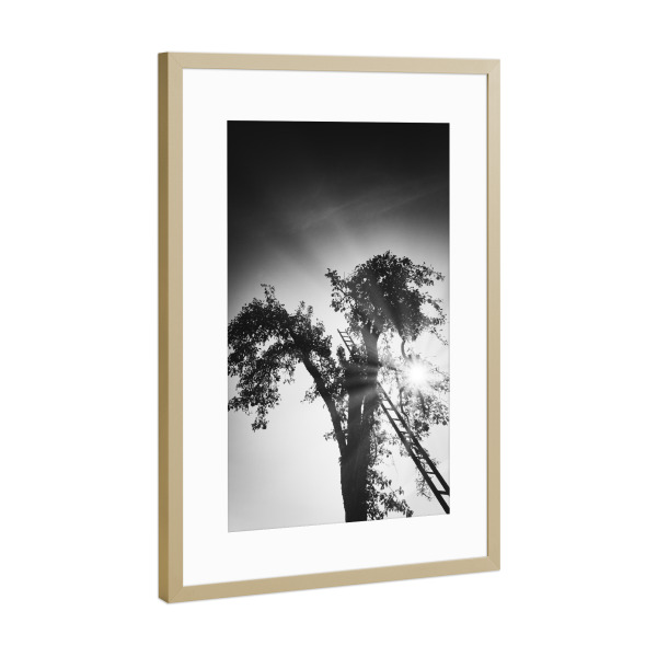 Poster mit Rahmen Gold "Up to the sky" artboxONE - Natur,Schwarzweiß