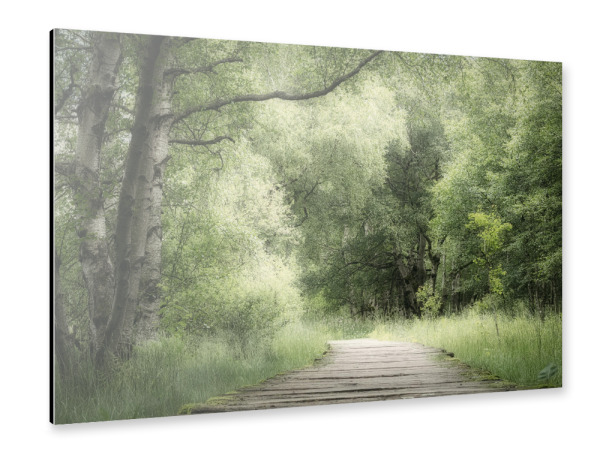 Alu-Dibond "Mein Weg" 30x20 cm artboxONE