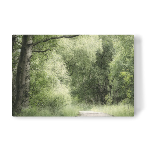 Mein Weg Mein Weg