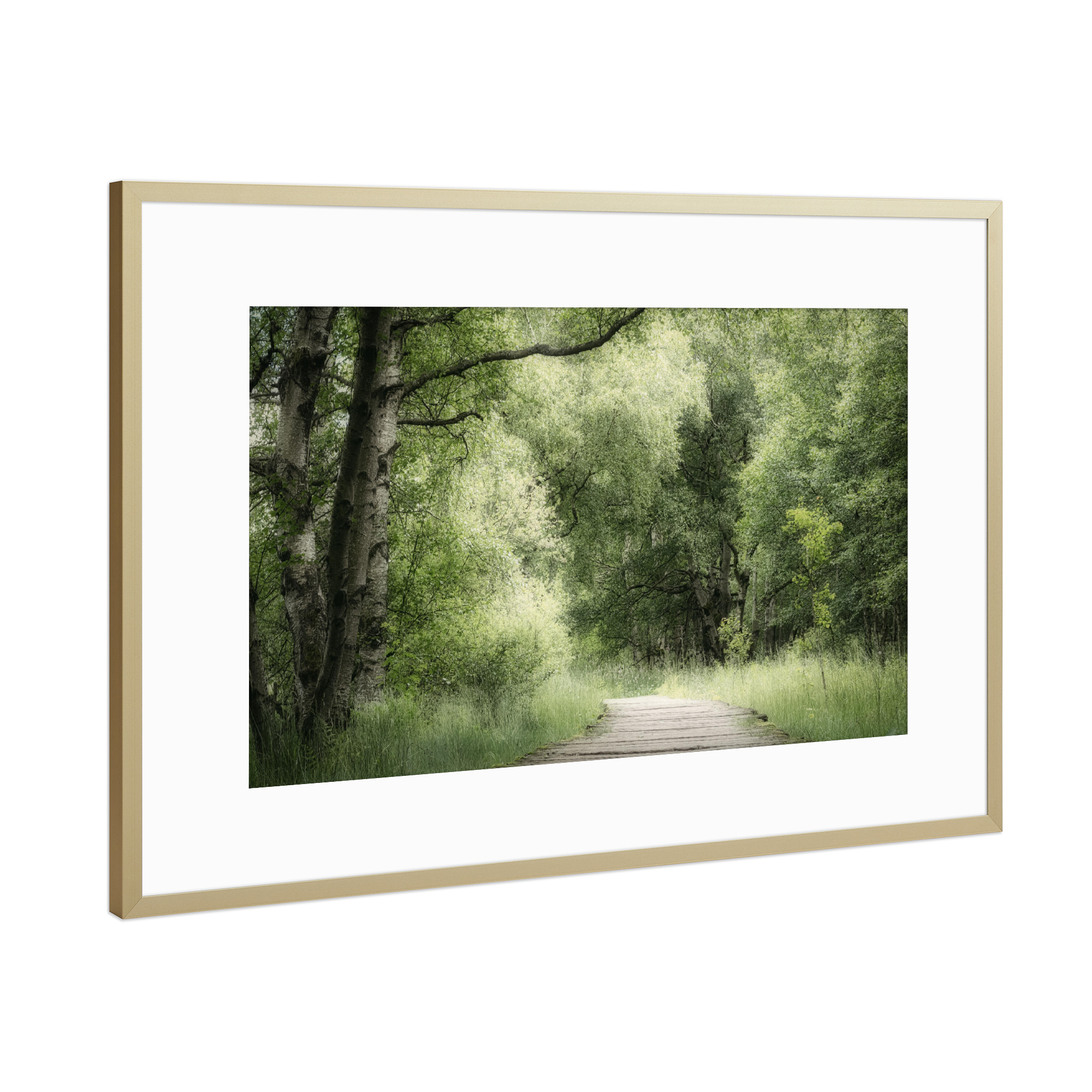 Poster mit Rahmen Gold "Mein Weg" artboxONE - Natur,Floral