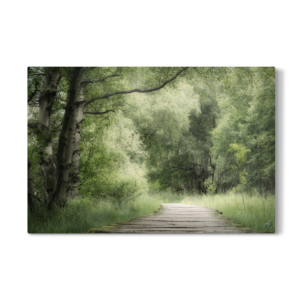 Galerie-Print "Mein Weg" 30x20 cm artboxONE