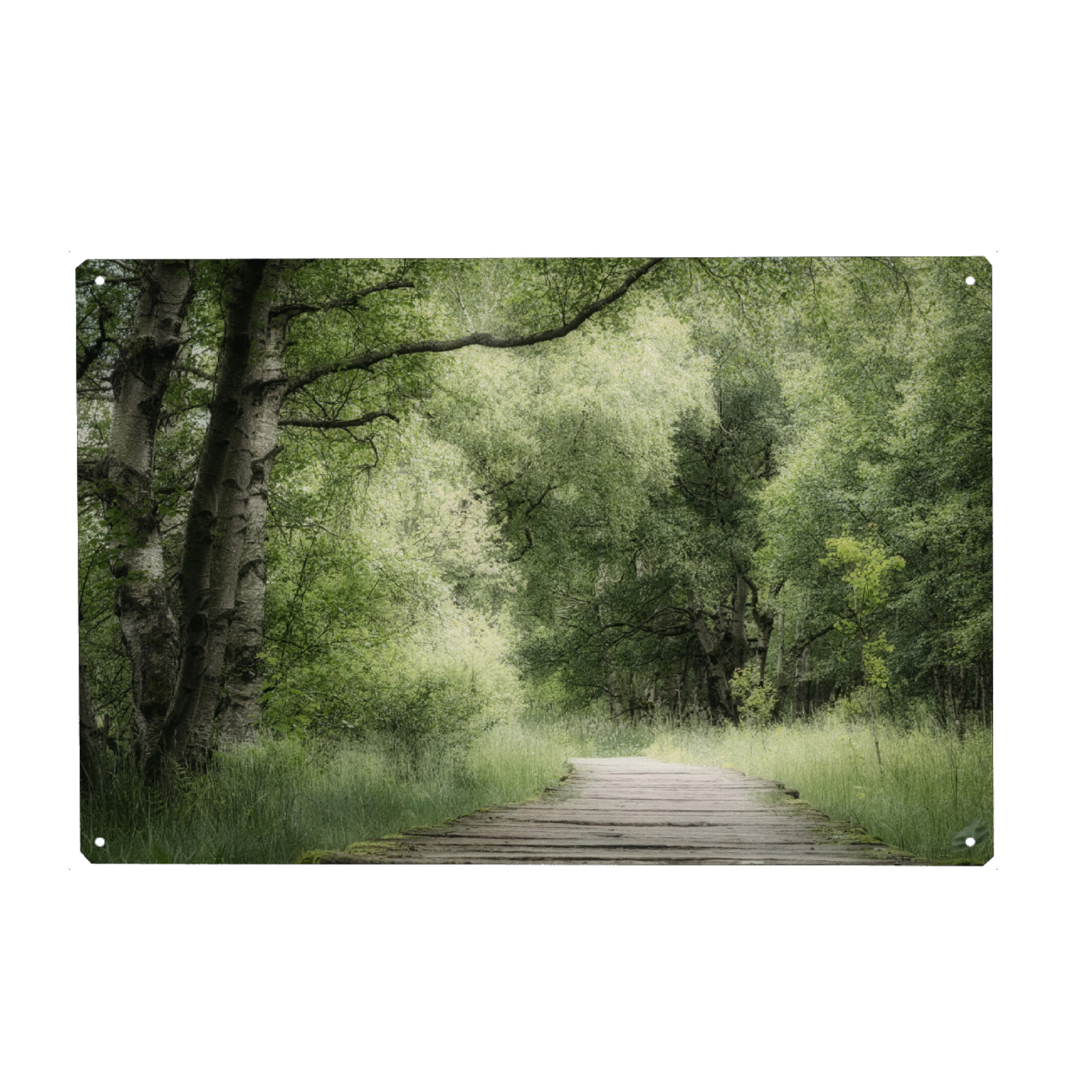 Metall Poster "Mein Weg" artboxONE - Natur,Floral