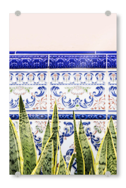 Acrylglasbild "Moroccan Botany" artboxONE - Natur,Abstrakt