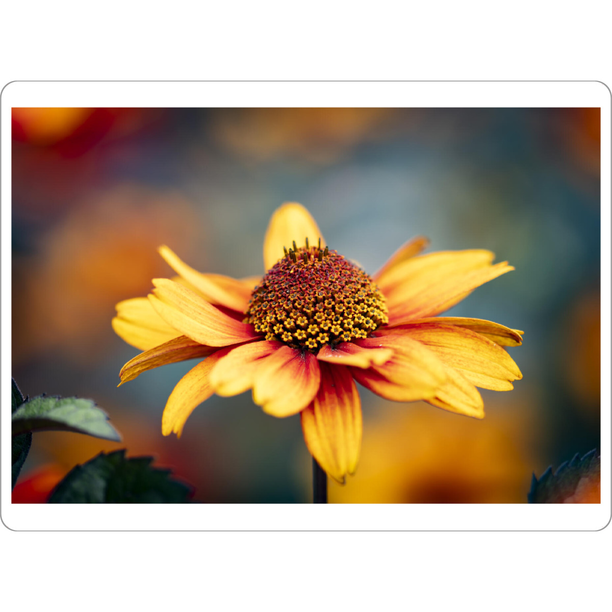 Tischset "I See Colors" artboxONE - Natur,Floral,Für Mama