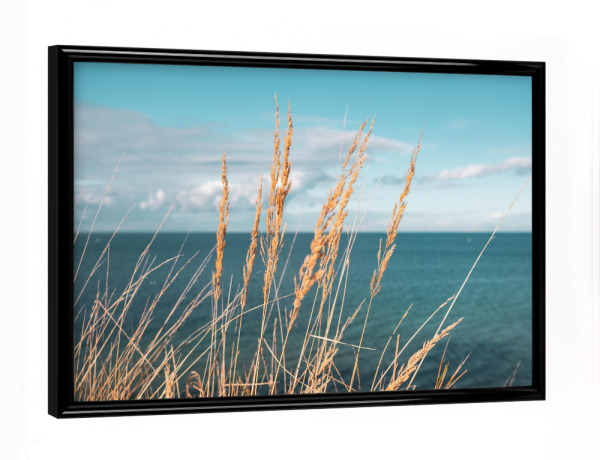 Poster mit schwarzem Rahmen "Reed at Baltic Sea" artboxONE - Natur - Schilf,Ostseeküste,Sea,Plants,Pflanzen,Pampas,Reed,Gras,Meer,Natur,Nature