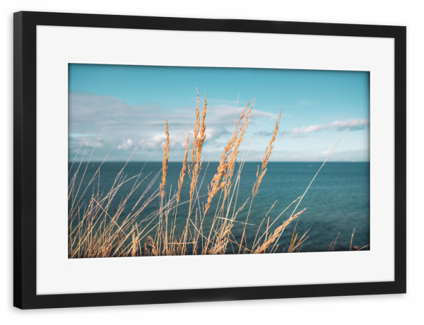 Poster mit Rahmen schwarz "Reed at Baltic Sea" artboxONE - Natur - Schilf,Ostseeküste,Sea,Plants,Pflanzen,Pampas,Reed,Gras,Meer,Natur,Nature