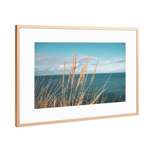 Poster mit Rahmen Kupfer "Reed at Baltic Sea" artboxONE - Natur - Schilf,Ostseeküste,Sea,Plants,Pflanzen,Pampas,Reed,Gras,Meer,Natur,Nature
