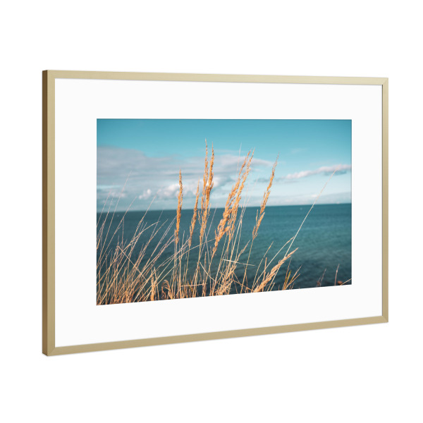 Poster mit Rahmen Gold "Reed at Baltic Sea" artboxONE - Natur - Schilf,Ostseeküste,Sea,Plants,Pflanzen,Pampas,Reed,Gras,Meer,Natur,Nature