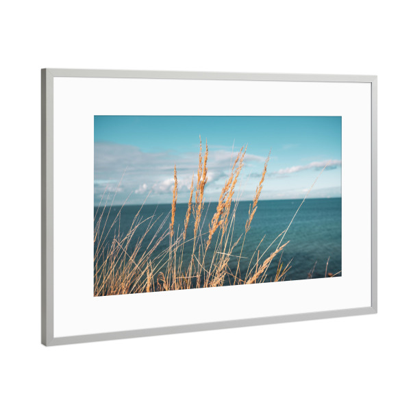 Poster mit Rahmen Silber "Reed at Baltic Sea" artboxONE - Natur - Schilf,Ostseeküste,Sea,Plants,Pflanzen,Pampas,Reed,Gras,Meer,Natur,Nature