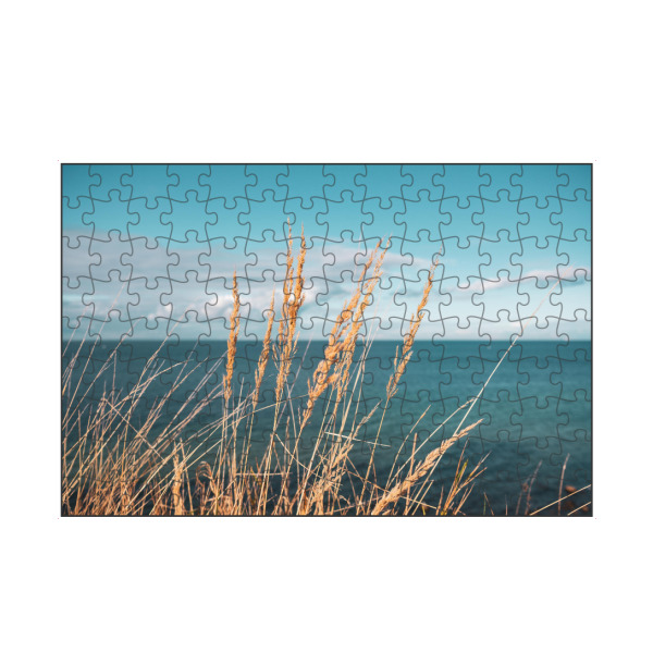 artboxONE Puzzle "Reed at Baltic Sea" artboxONE - Natur - Schilf,Ostseeküste,Sea,Plants,Pflanzen,Pampas,Reed,Gras,Meer,Natur,Nature - Bild schilf