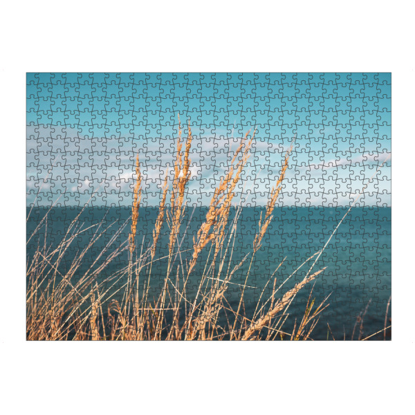 Puzzle Ravensburger "Reed at Baltic Sea" artboxONE - Natur - Schilf,Ostseeküste,Sea,Plants,Pflanzen,Pampas,Reed,Gras,Meer,Natur,Nature - Bild schilf