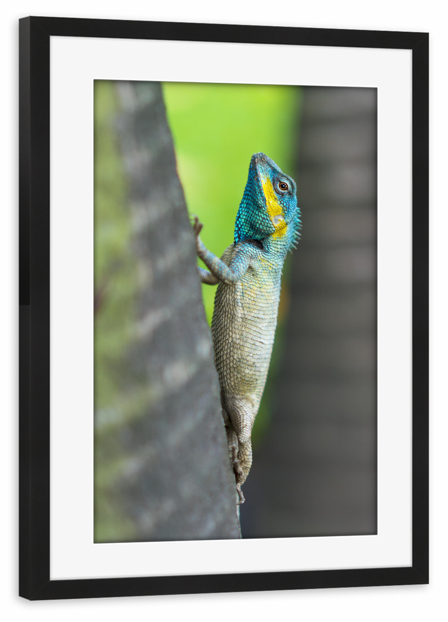 Poster mit Rahmen schwarz "Neon Blue Dragon" artboxONE - Städte,Natur,Reise,Tiere,Reise / Asien