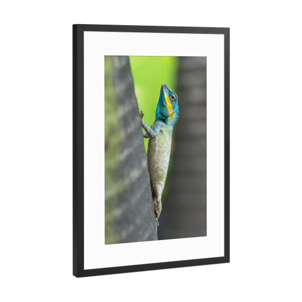 Poster mit Rahmen Schwarz (Metallic) "Neon Blue Dragon" artboxONE - Städte,Natur,Reise,Tiere,Reise / Asien