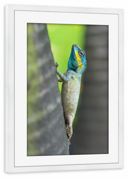 Poster mit Rahmen weiß "Neon Blue Dragon" artboxONE - Städte,Natur,Reise,Tiere,Reise / Asien