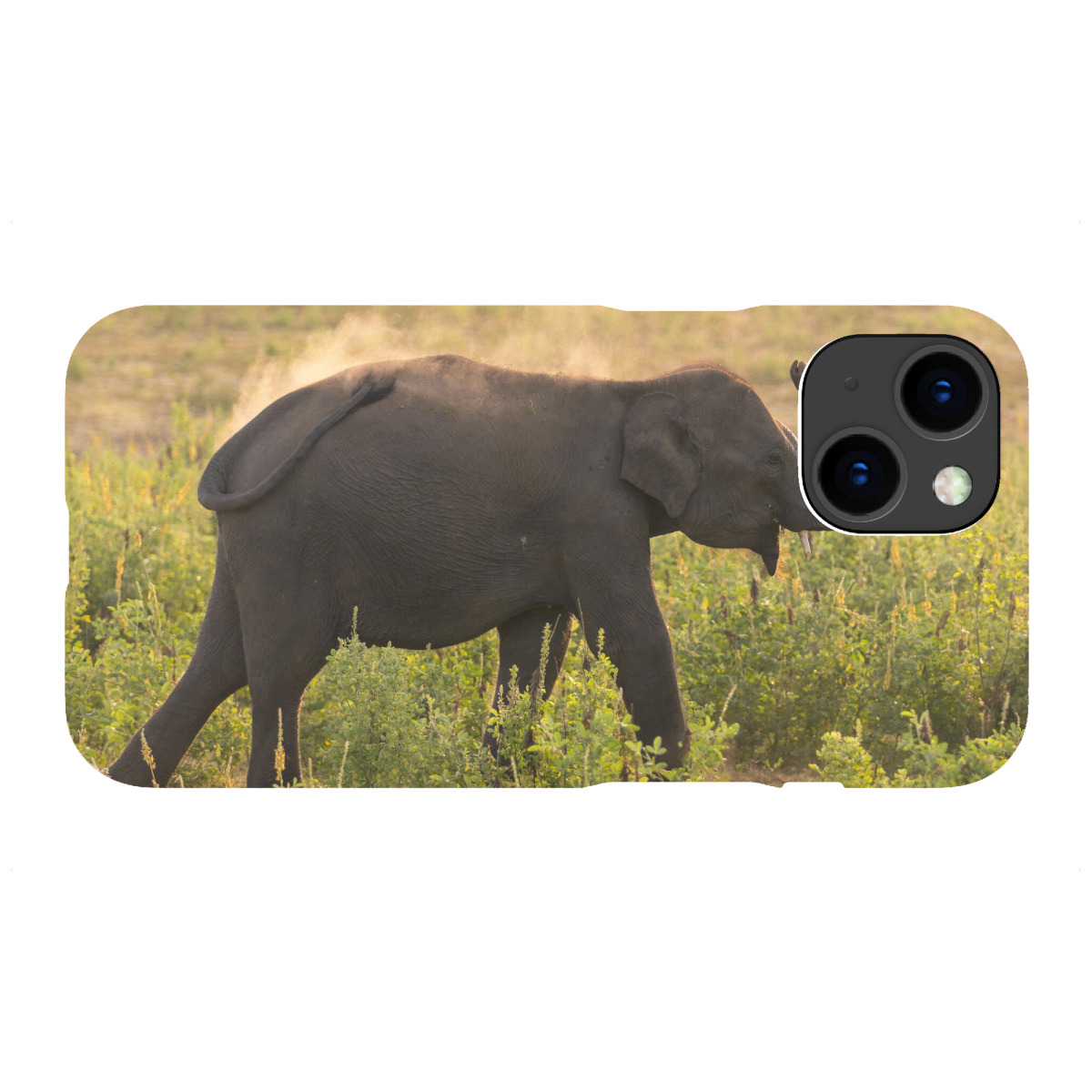 "Wild Asian Elephant"für iPhone - Premium-Case Handyhülle artboxONE
