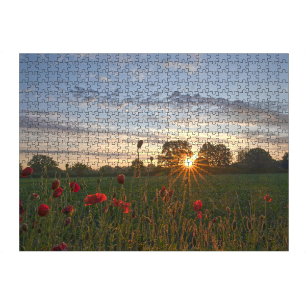 Puzzle Ravensburger "Sonnenaufgang am Feldrand" artboxONE - Natur,Floral