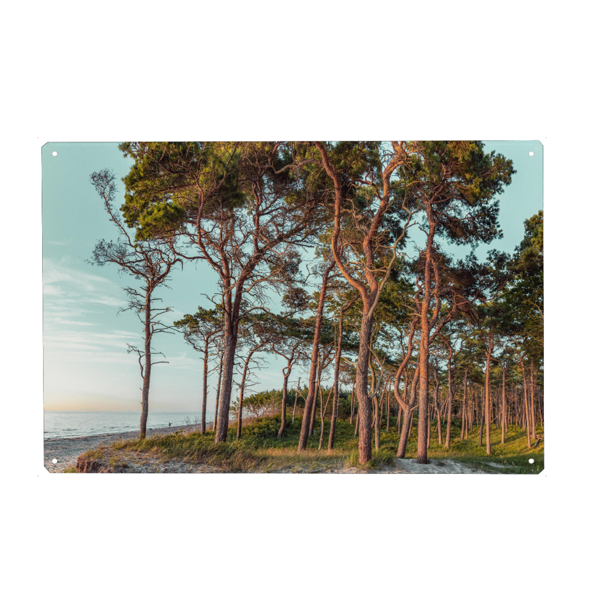 Metall Poster "Weststrand" artboxONE - Natur,Reise