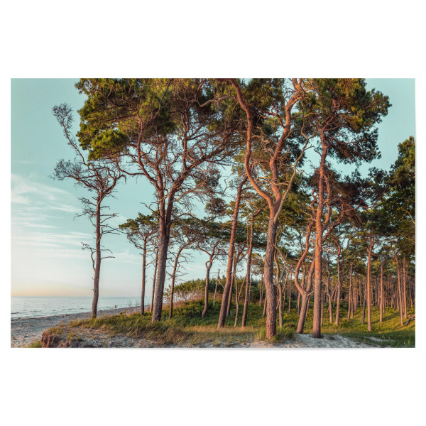 Poster "Weststrand" artboxONE - Natur,Reise