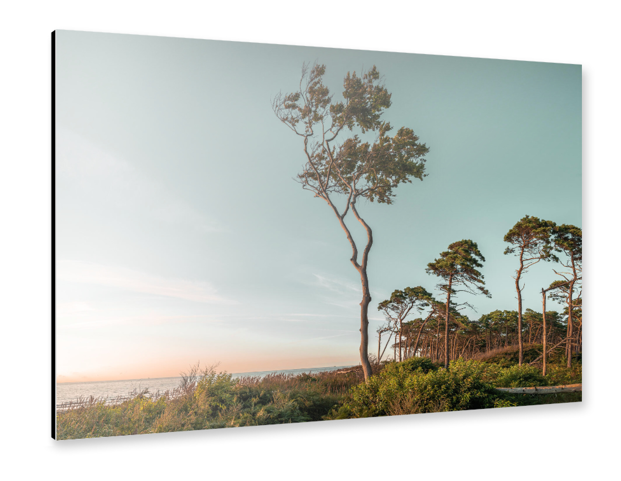 Alu-Dibond "Abends am Strand" 30x20 cm artboxONE