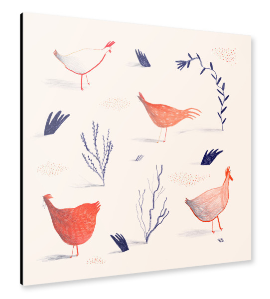 Alu-Dibond "Trudeiskrude - Wilde Hühner" 30x30 cm artboxONE